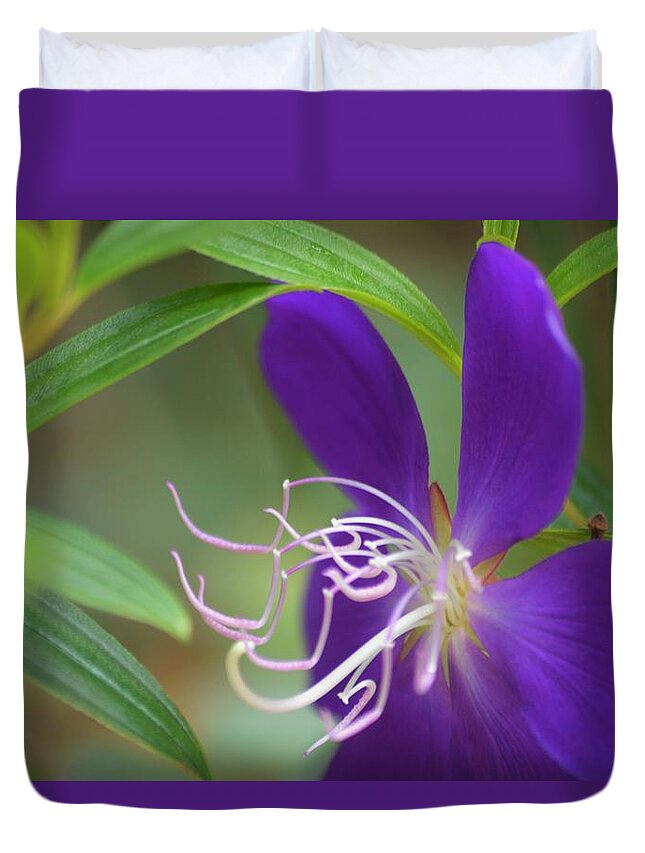 Princess Bloom And Leaves Duvet Cover featuring the photograph Princess Bloom and Leaves by Warren Thompson