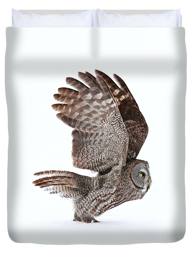 Great Gray Owl Duvet Cover featuring the photograph Proceed to runway for take off by Heather King