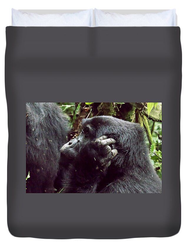 Africa Duvet Cover featuring the photograph Profile of female mountain gorilla, Bwindi Impenetrable Forest N by Karen Foley