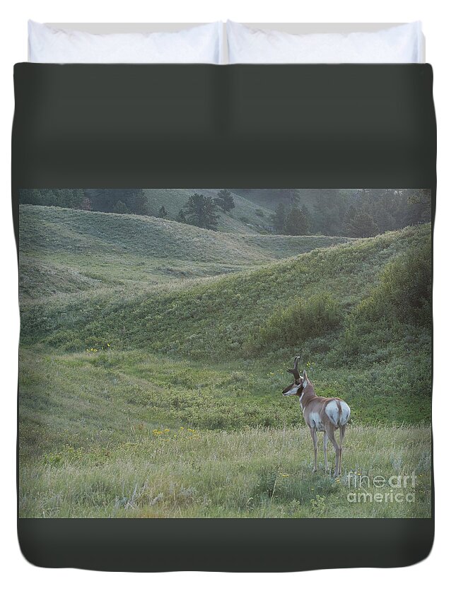 Natanson Duvet Cover featuring the photograph Pronghorn First Light by Steven Natanson