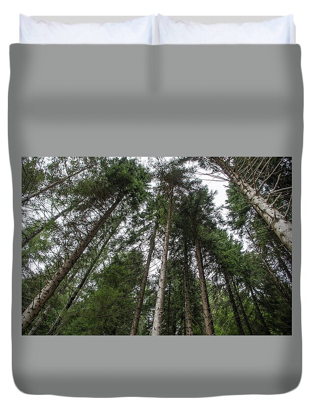 Trees Duvet Cover featuring the photograph Prospective of a pines forest by Nicola Aristolao