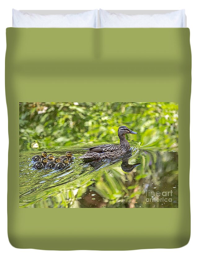 Birds Duvet Cover featuring the photograph Proud Mama by Kate Brown