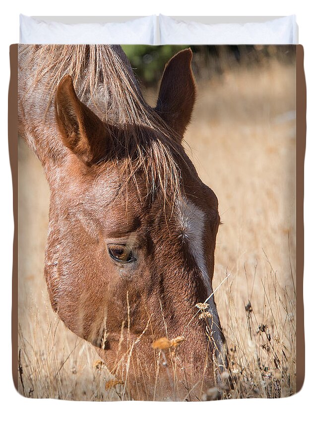 2015 Duvet Cover featuring the photograph Pryor Mountain Wild Mustang Cropped by Bert Peake
