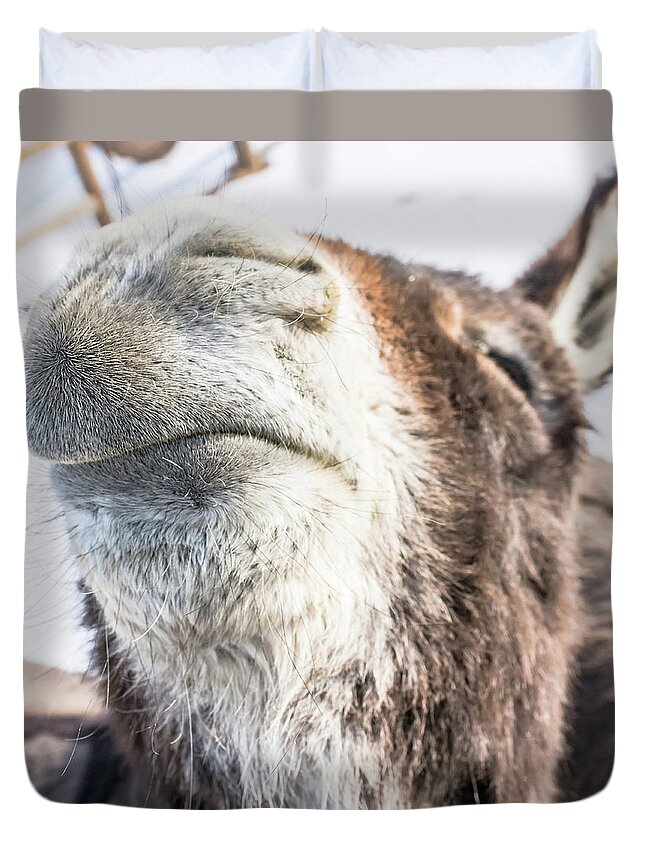 Donkey Duvet Cover featuring the photograph Pucker Up, Baby by Jennifer Grossnickle