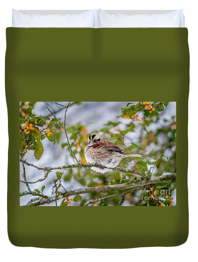 Pudgy White Throated Sparrow Duvet Cover featuring the photograph Pudgy White Throated Sparrow by Karen Jorstad