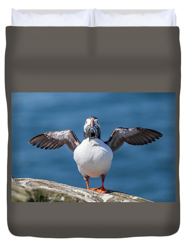 Atlantic Puffin Duvet Cover featuring the photograph Puffin with fish for tea by Anita Nicholson