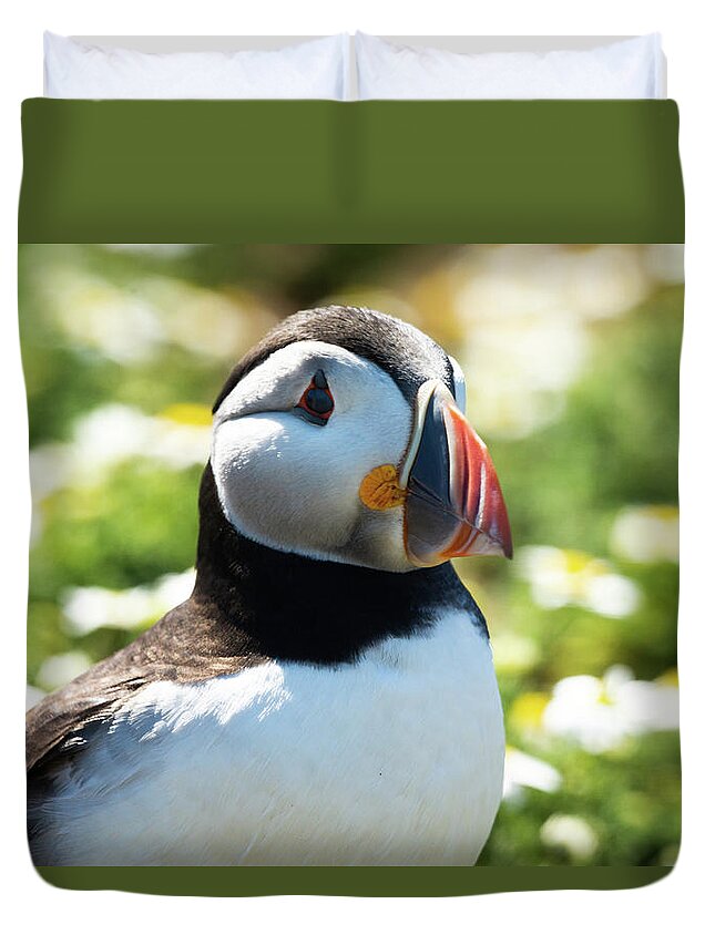  Duvet Cover featuring the photograph Puffy Puffin by Framing Places