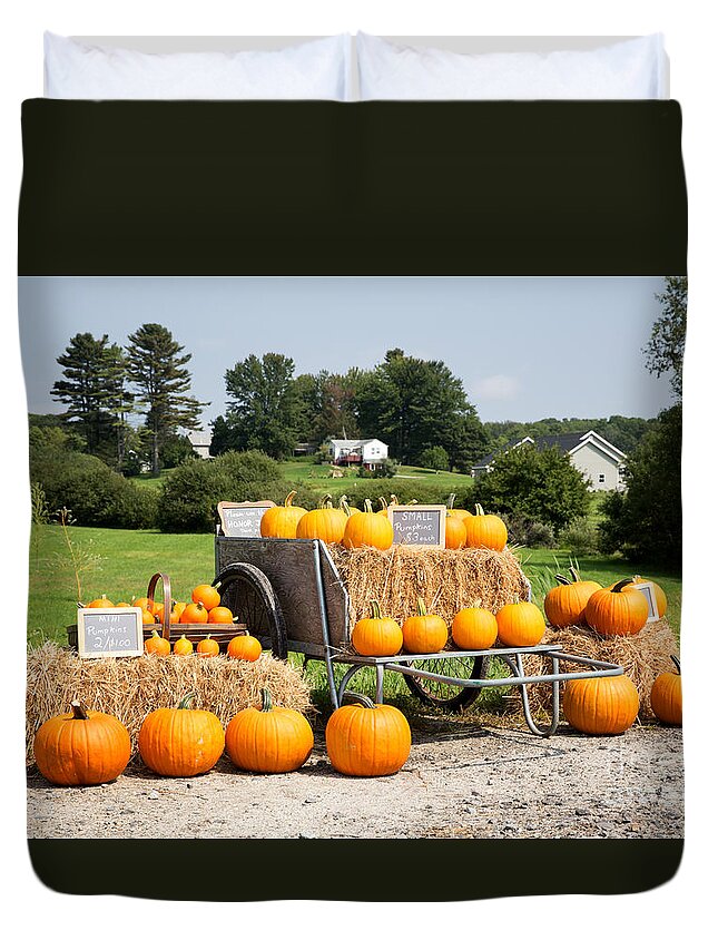 Pumpkin Duvet Cover featuring the photograph Pumpkin sale by Jane Rix