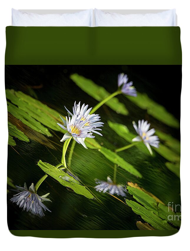 Photography Duvet Cover featuring the photograph Punaluu Lilly Pond 1 by Daniel Knighton