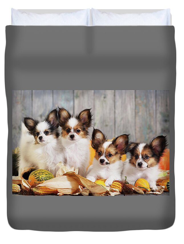 Papillon Duvet Cover featuring the photograph Puppy by Iuliia Malivanchuk