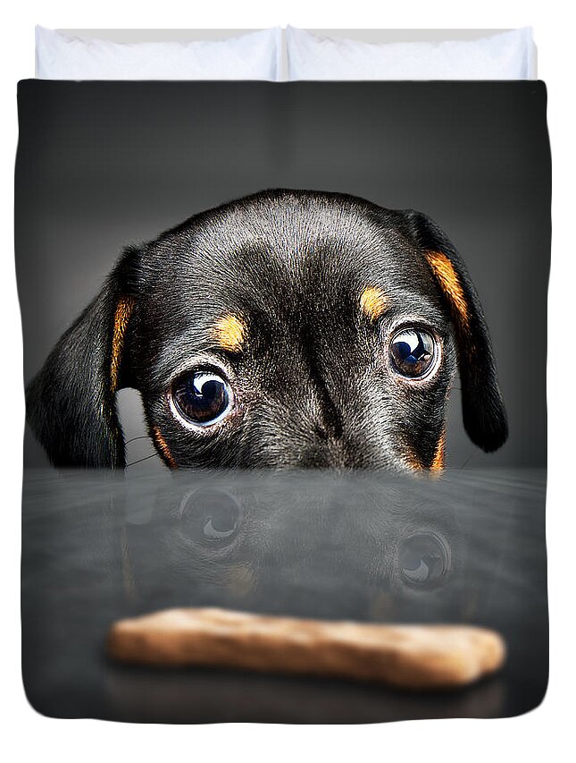 Puppy Duvet Cover featuring the photograph Puppy longing for a treat by Johan Swanepoel