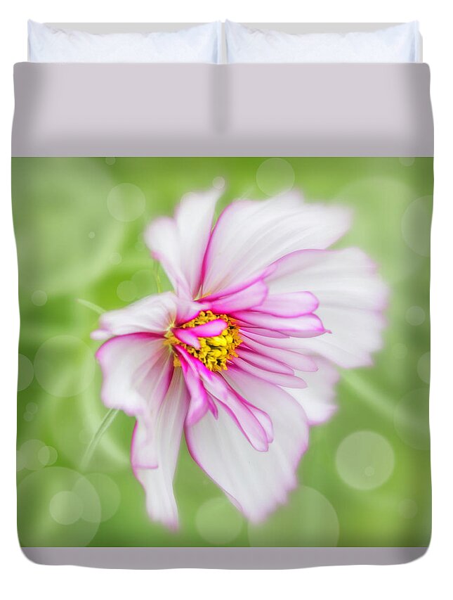 Cosmos Duvet Cover featuring the photograph Pure in its beauty. by Usha Peddamatham