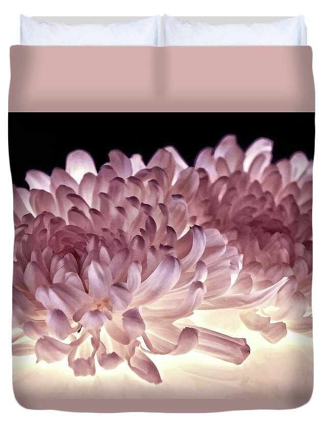 Mums Duvet Cover featuring the photograph Purely Petals by Leda Robertson