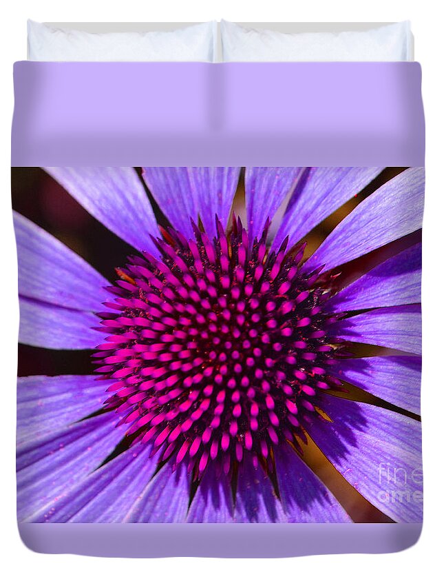 Daisy Duvet Cover featuring the photograph Purple and Pink Daisy by Amy Lucid