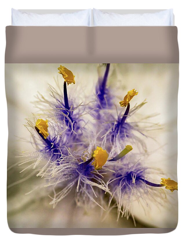 Jay Stockhaus Duvet Cover featuring the photograph Purple and Yellow by Jay Stockhaus
