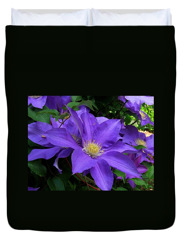 Clematis Duvet Cover featuring the photograph Purple Clematis by Michiale Schneider