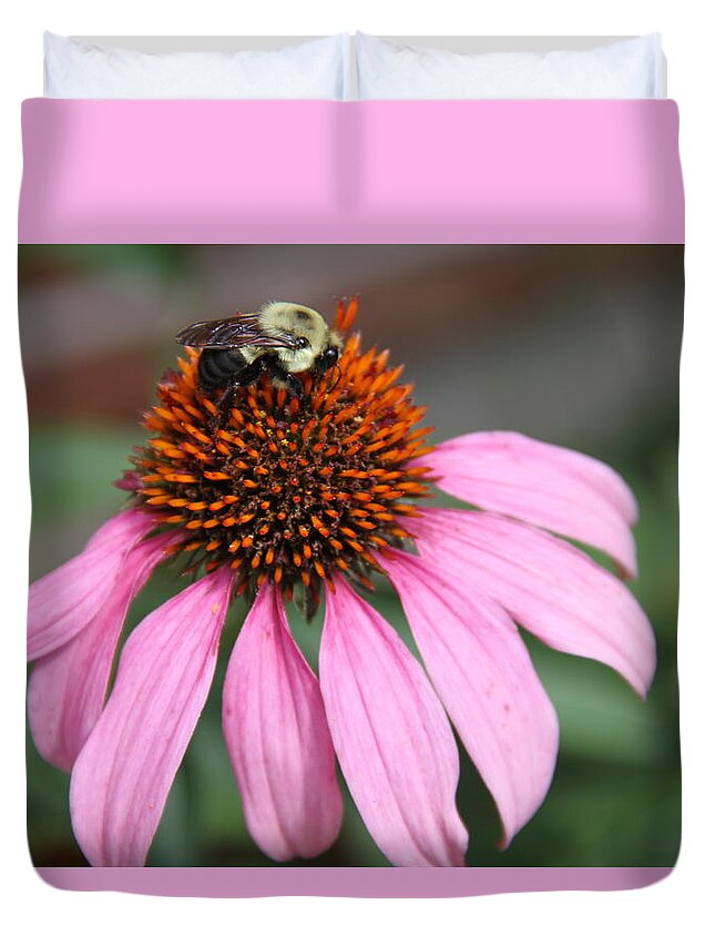 Purple Cone Flower Duvet Cover featuring the photograph Purple Cone Flower by Rebecca Pavelka