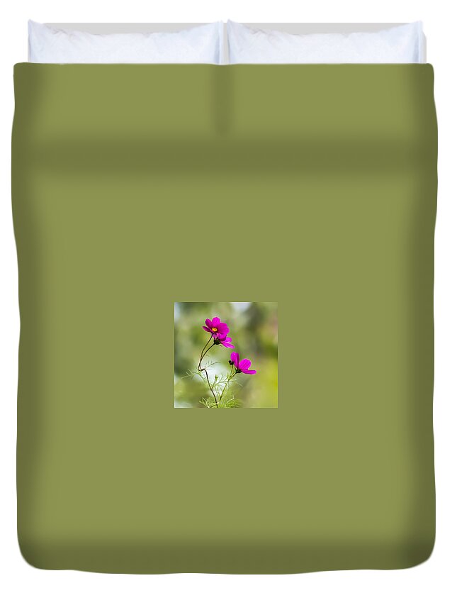 Terry D Photography Duvet Cover featuring the photograph Purple Cosmos Flowers Square by Terry DeLuco