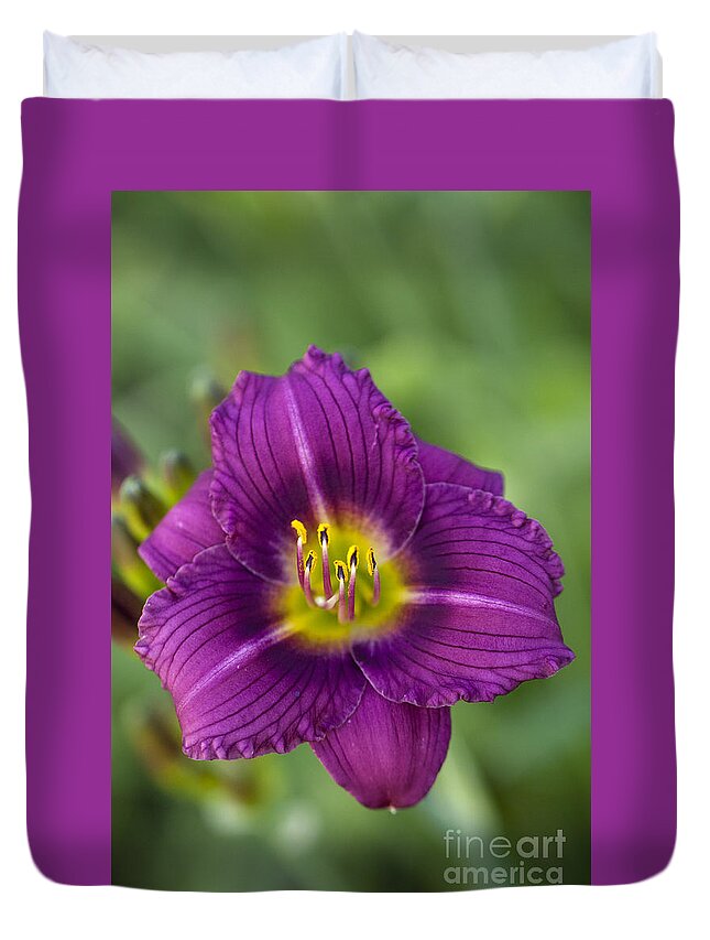 Flower Duvet Cover featuring the photograph Purple Daze by Douglas Kikendall