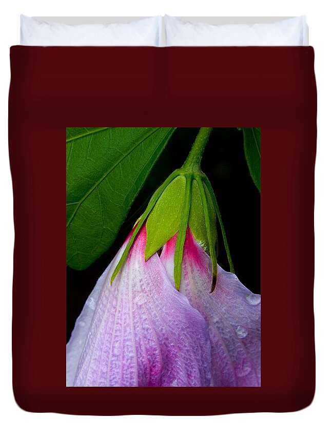 Hibiscus Duvet Cover featuring the photograph Purple Dew by Neil Shapiro