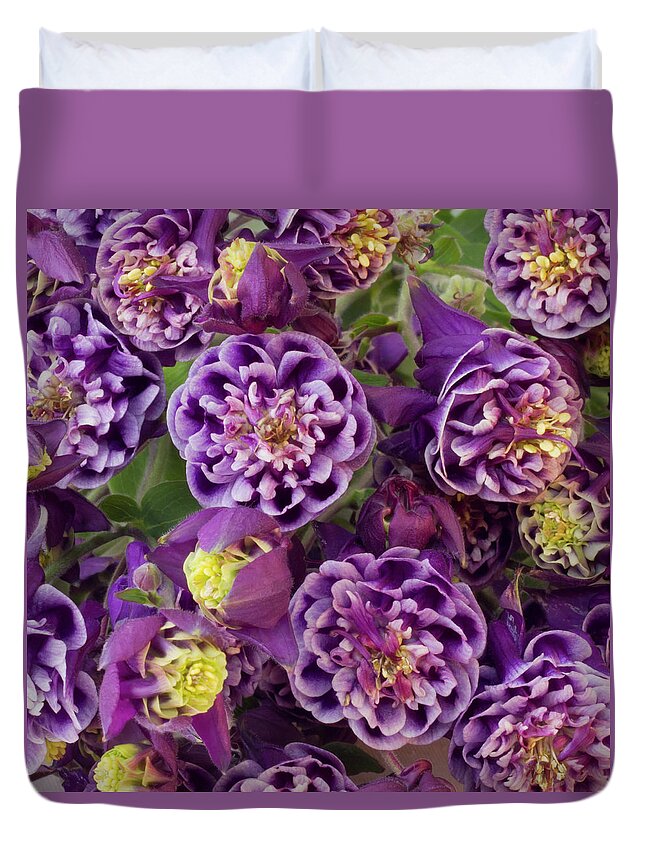 Purple Double Columbine Flowers Duvet Cover For Sale By Sandra Foster