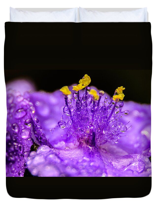 Water Drops Duvet Cover featuring the photograph Purple Flower After The Rain by Wolfgang Stocker