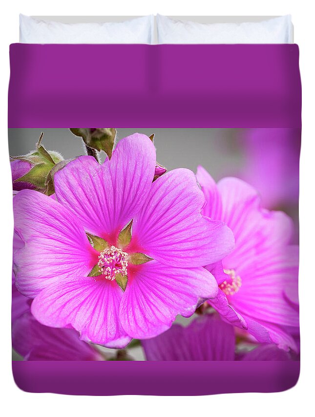 Flower Duvet Cover featuring the photograph Purple flower? by The Flying Photographer