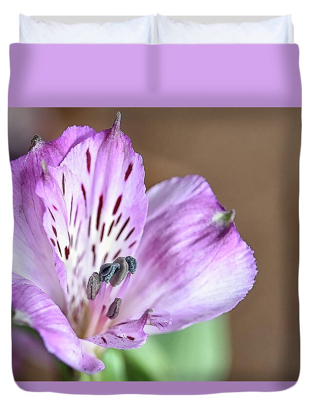  Duvet Cover featuring the photograph Purple Flower by Kuni Photography