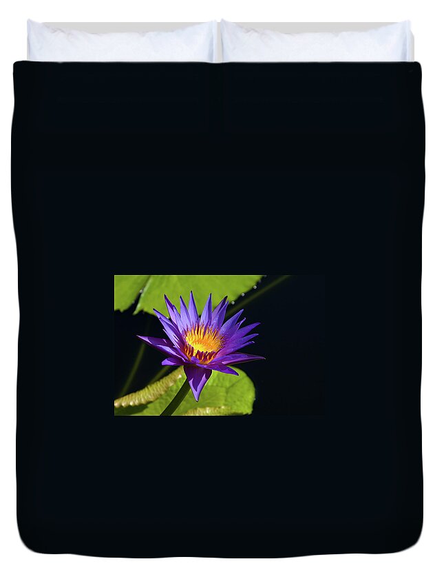 Water Lily Duvet Cover featuring the photograph Purple Gold by Steve Stuller