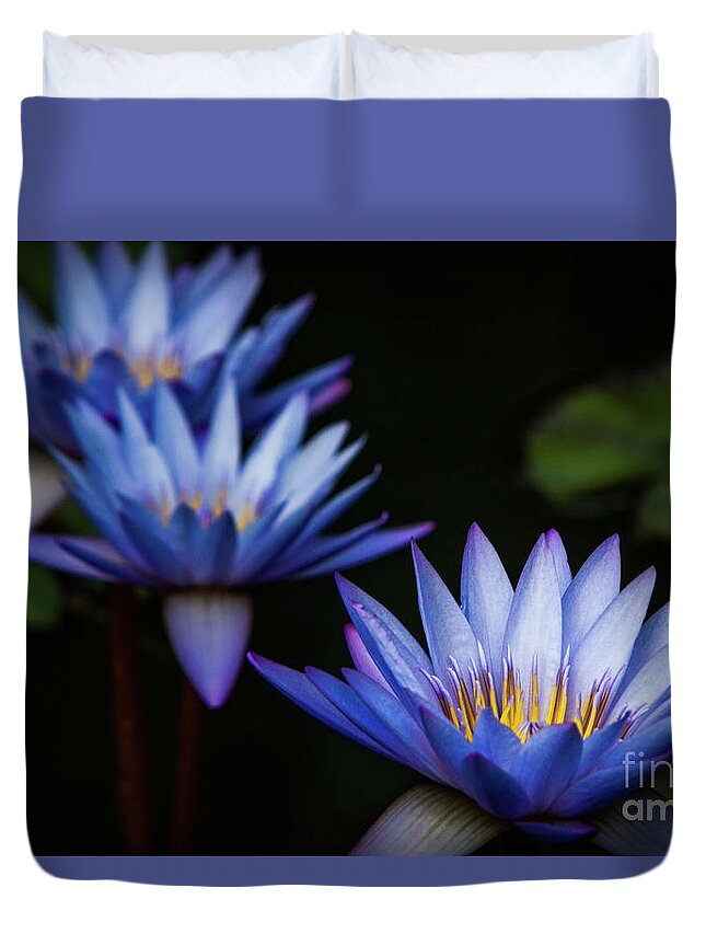 Gibbs Gardens Duvet Cover featuring the photograph Purple Lilies by Doug Sturgess