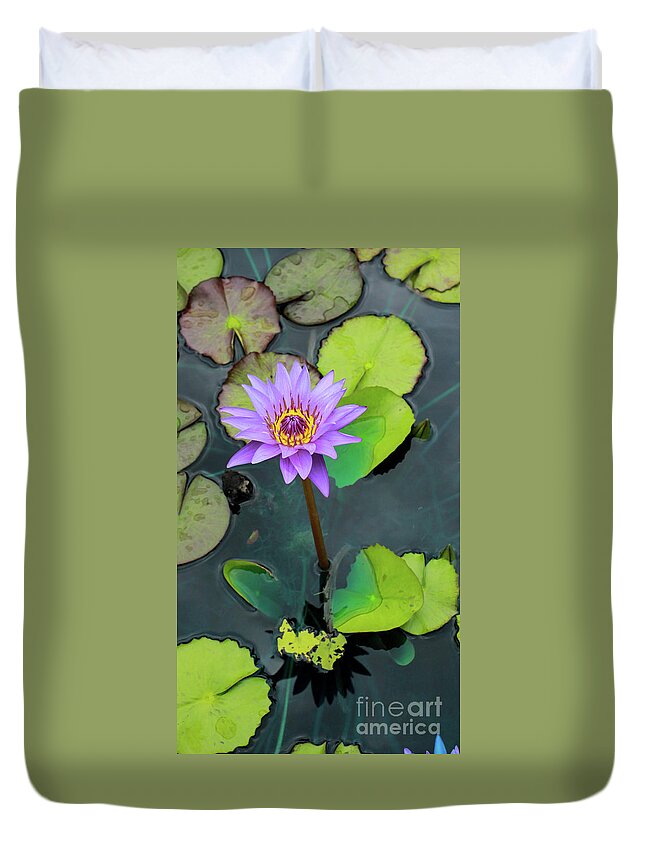 Nature Duvet Cover featuring the photograph Purple Lilly with Lilly Pads by Toma Caul