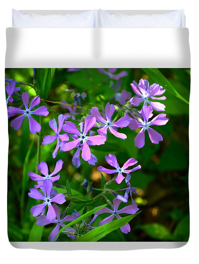 Phlox Duvet Cover featuring the photograph Purple Phlox in the Woods by Stacie Siemsen
