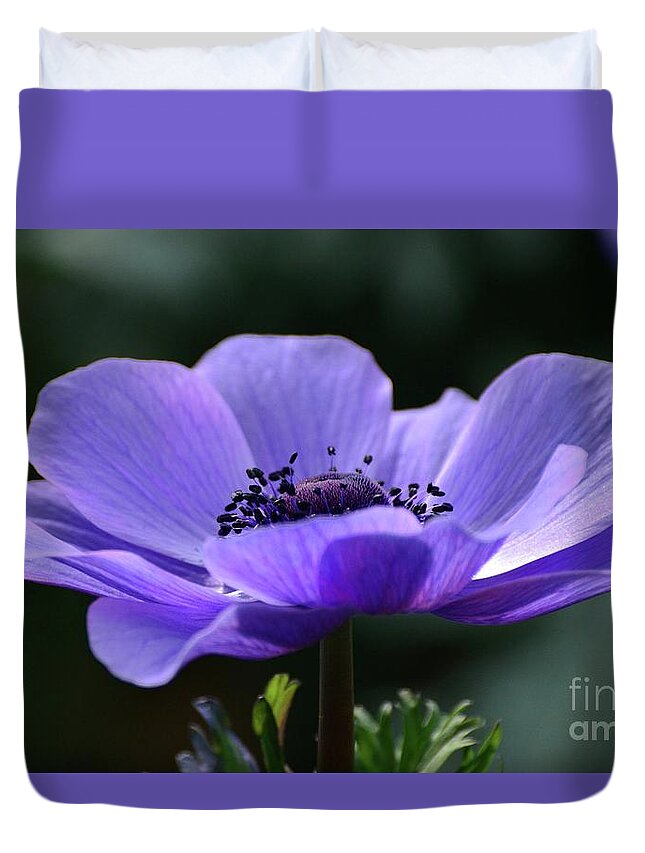Flowers Duvet Cover featuring the photograph Purple Poppy Mona Lisa by Cindy Manero