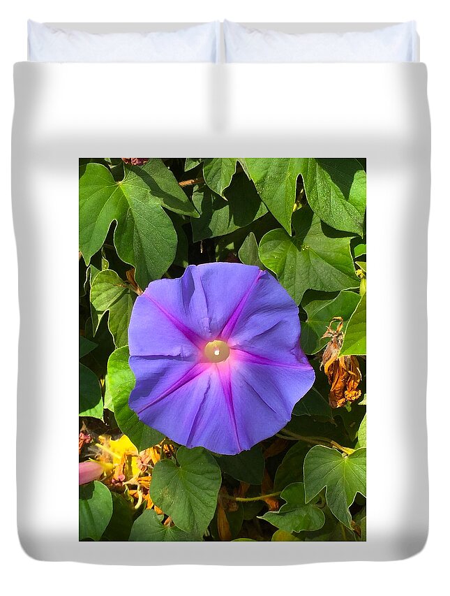 Fauna Duvet Cover featuring the photograph Purple Star by Brad Hodges