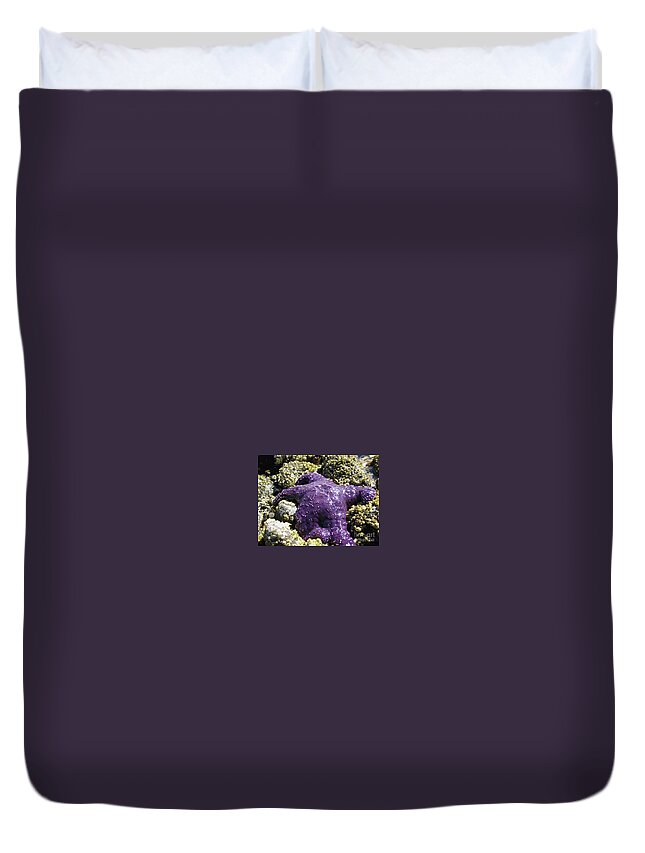  Wall Art Duvet Cover featuring the photograph Purple Star Fish by 'REA' Gallery
