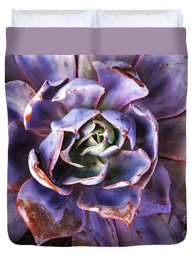 Landscape Duvet Cover featuring the photograph Purple Succulent by Craig J Satterlee