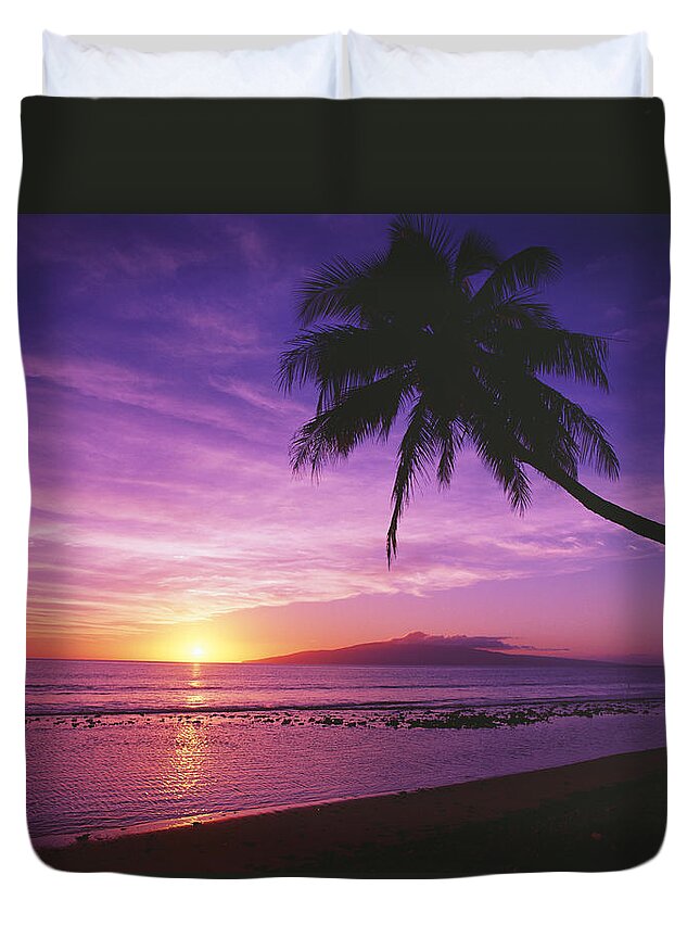 Beach Duvet Cover featuring the photograph Purple Sunset and Palm by Ron Dahlquist - Printscapes