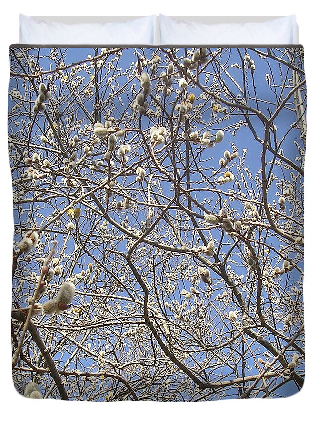 Spring Duvet Cover featuring the photograph Pussywillows Bursting to Life by Roger Swezey