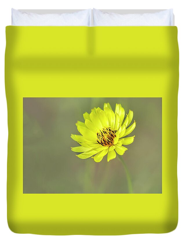 Asteraceae Duvet Cover featuring the photograph Putting my best face forward. by Usha Peddamatham