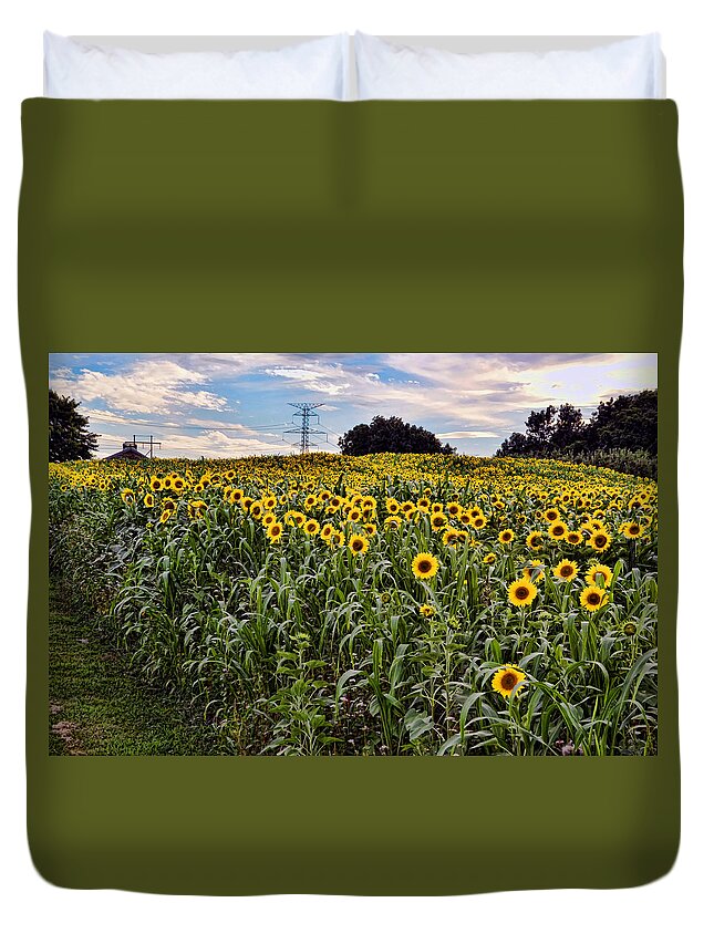 Sunflowers Duvet Cover featuring the photograph Quarry Hill Sunflowers by Ann Bridges