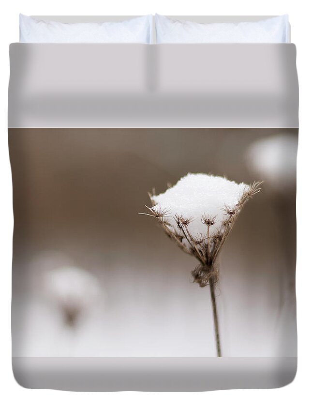 Wildflower Duvet Cover featuring the photograph Queen Anne in the Snow by Holly Ross