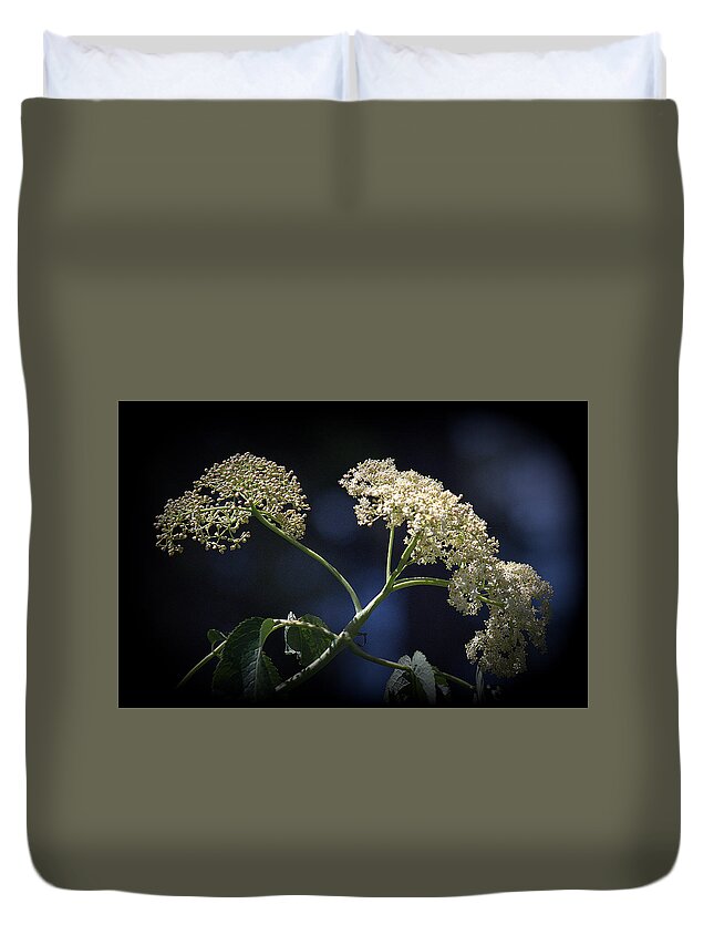 Flower Duvet Cover featuring the photograph Queen Anne's Lace by Lori Seaman