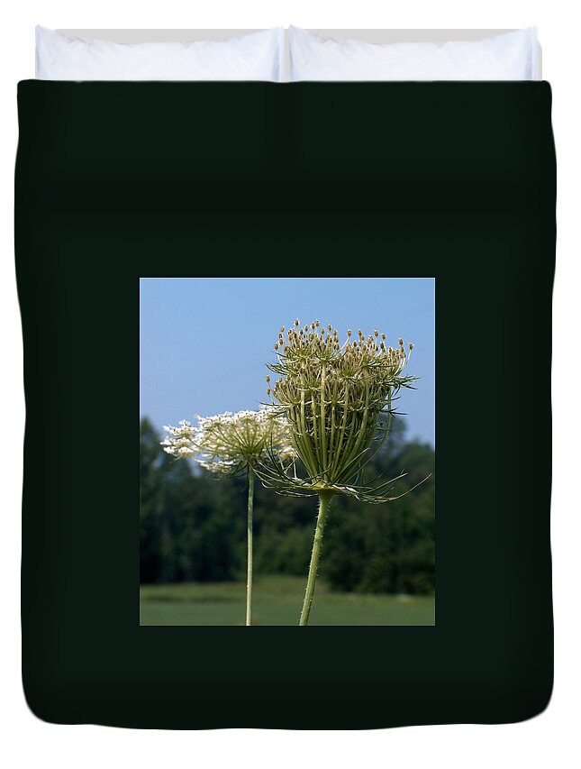 Queen Anne's Lace Duvet Cover featuring the photograph Queen Anne's Lace by Racquel Morgan