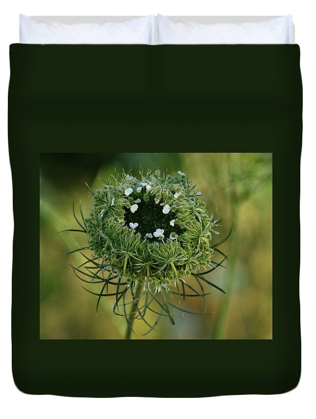Queen Anne's Lace Duvet Cover featuring the photograph Queen Anne's Little Nest Of Treasures by I'ina Van Lawick