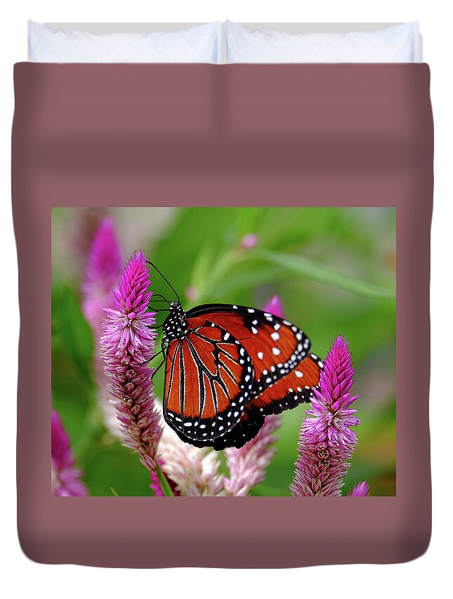 Queen Butterfly Duvet Cover featuring the photograph Queen at lunch by Ronda Ryan