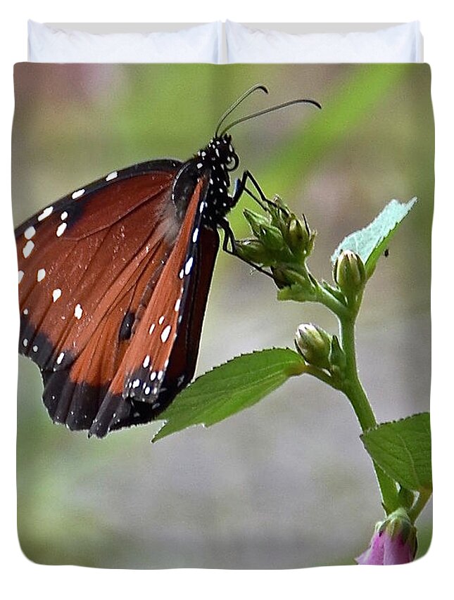 Butterfly Duvet Cover featuring the photograph Queen Butterfly by Carol Bradley