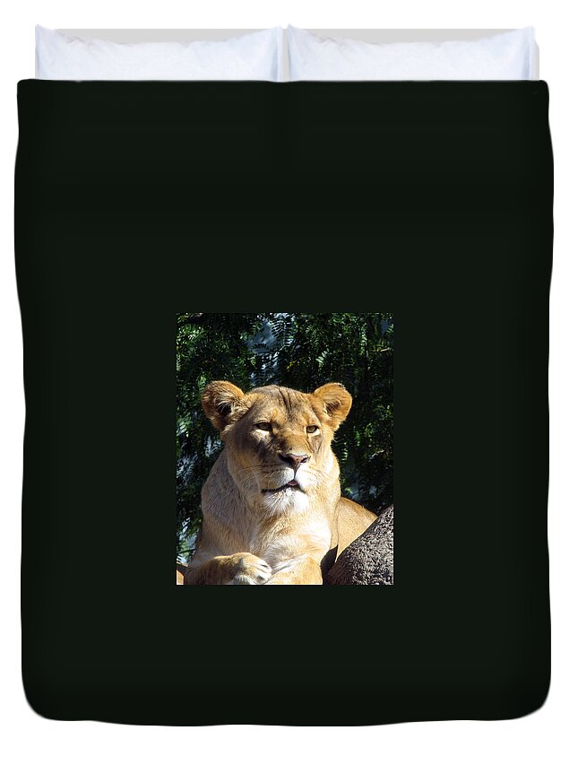 Lion Duvet Cover featuring the photograph Queen of the Beasts by George Jones