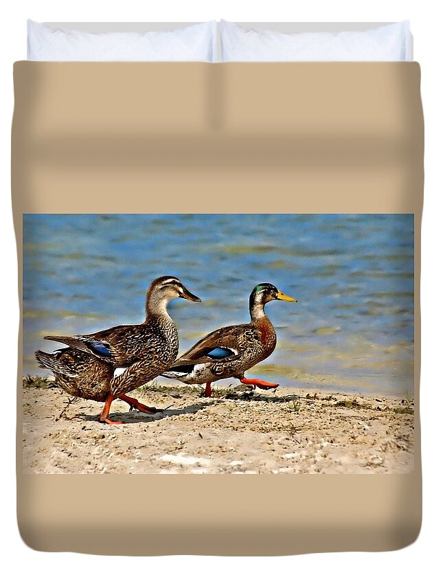 Ducks Duvet Cover featuring the photograph Race You To The Water by Carolyn Marshall