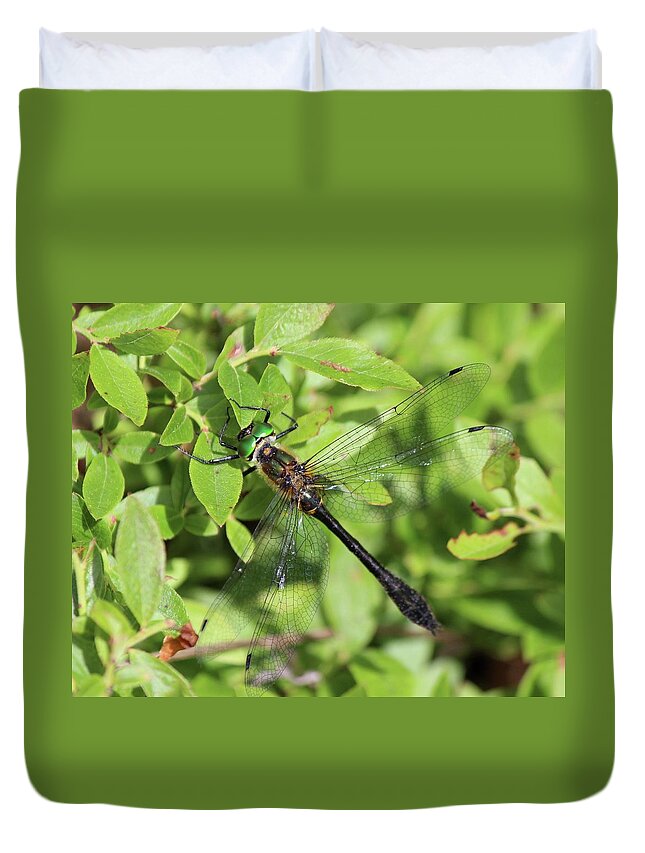 Dragonfly Duvet Cover featuring the photograph Racket-tailed Emerald by David Pickett