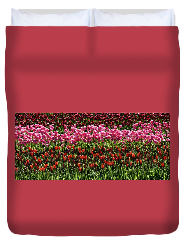 Tulips Duvet Cover featuring the photograph Radiant Beauties by Nick Boren